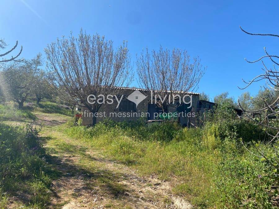 (Zum Verkauf) Nutzbares Land Ackerland || Messinia/Petalidi - 9.600 m², 70.000€ 