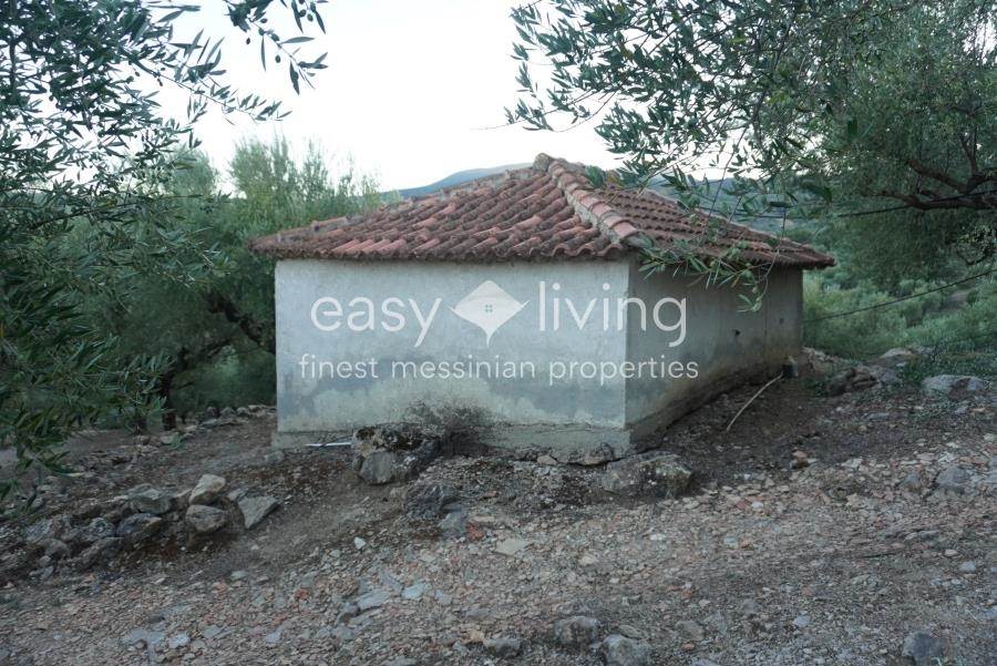 (For Sale) Land Agricultural Land  || Messinia/Petalidi - 11.000 Sq.m, 75.000€ 